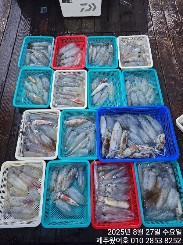 제주왔어호_사진_20250827_1.jpg