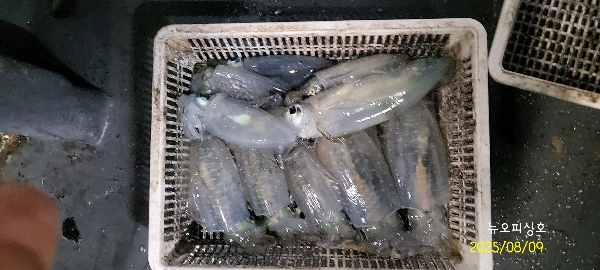 DateCamera0809003433.jpg