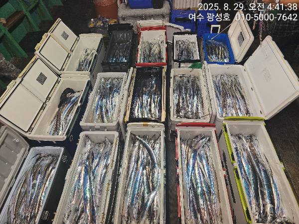 KakaoTalk_20250829_181212955_18.jpg