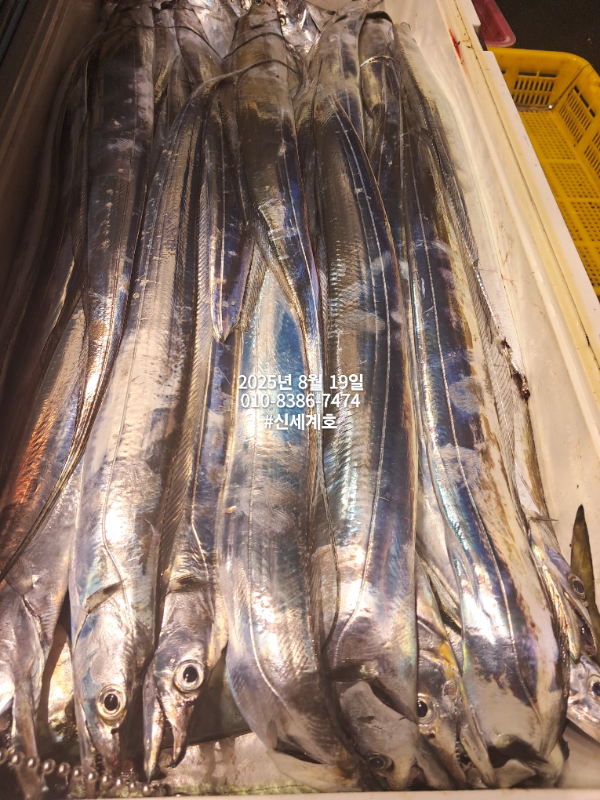 1755551170396.jpg