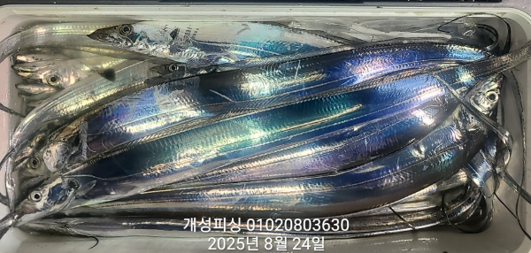 4d4a6e0fb604dfeb81129de35afb6fae.jpg