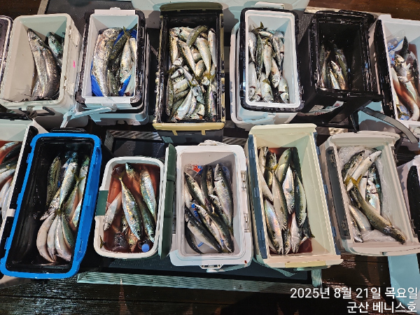 KakaoTalk_20250821_034010380_01.jpg