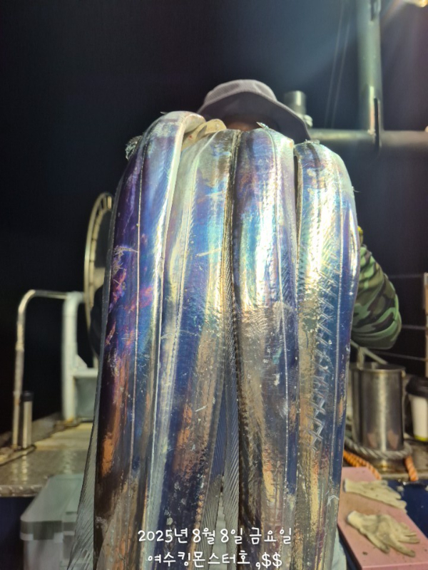 BandPhoto_2025_08_08_10_24_58.jpg