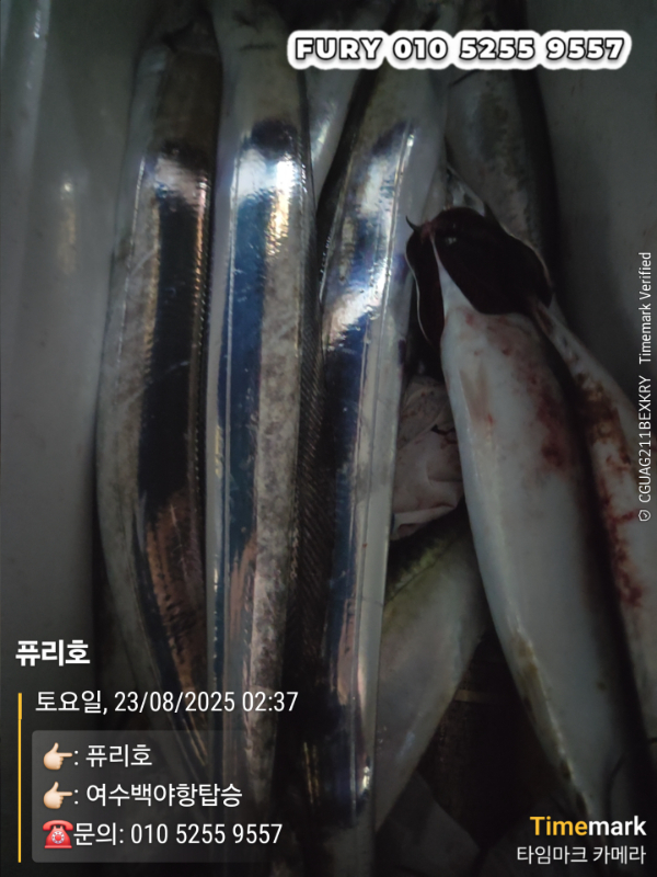 1000026455.jpg
