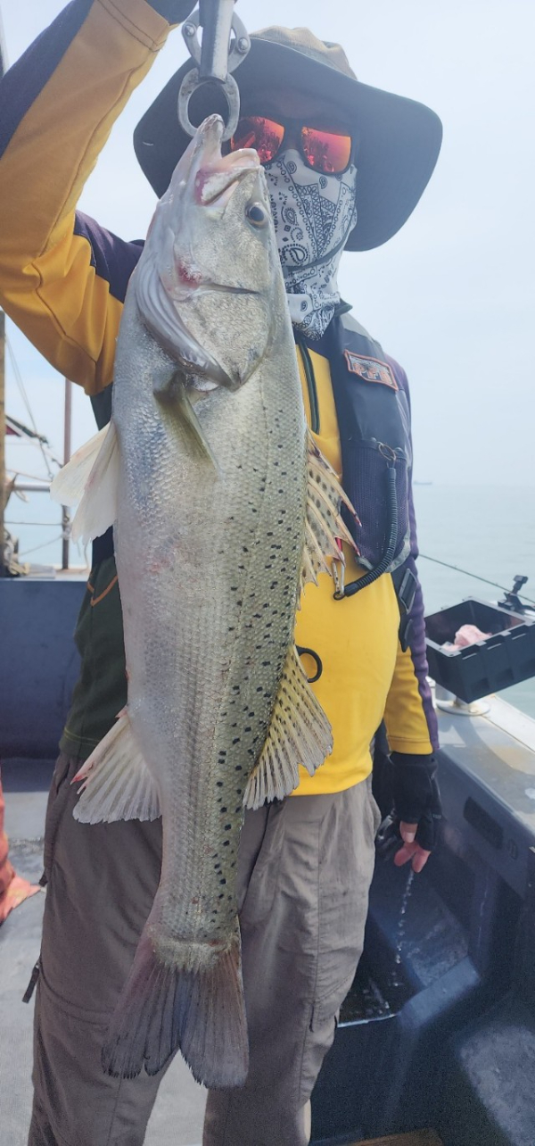 예지퀸호 농어외수질&어초낚시 경기인천권_사진_20250808_7.jpg