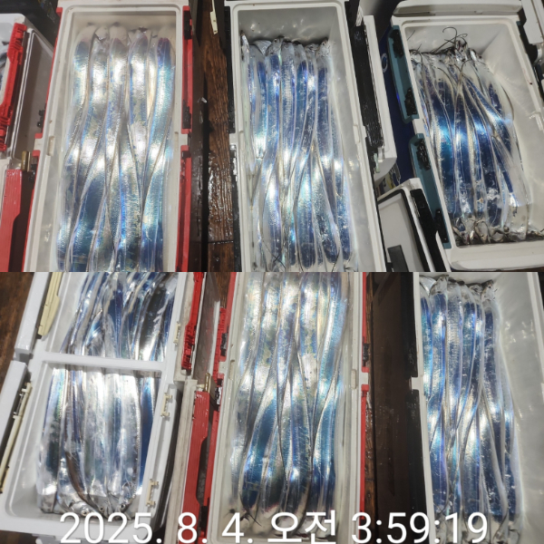 1000068438.jpg