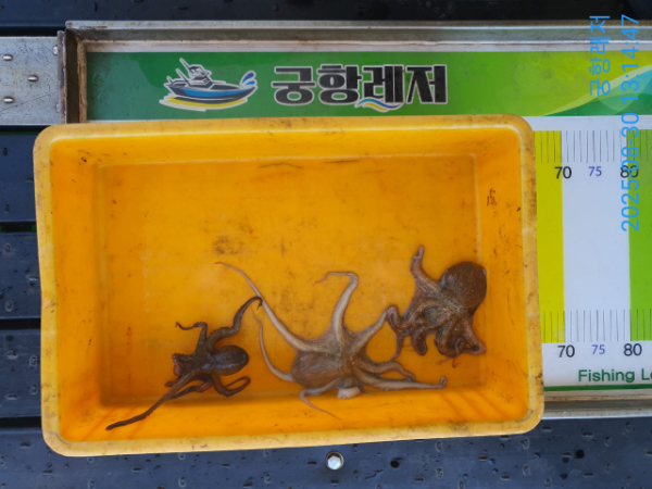궁항레저_사진_20250830_1.jpg