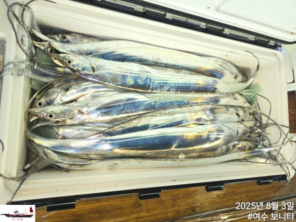 4e3d9bbb08a233d2381285a33b0a0635.jpg