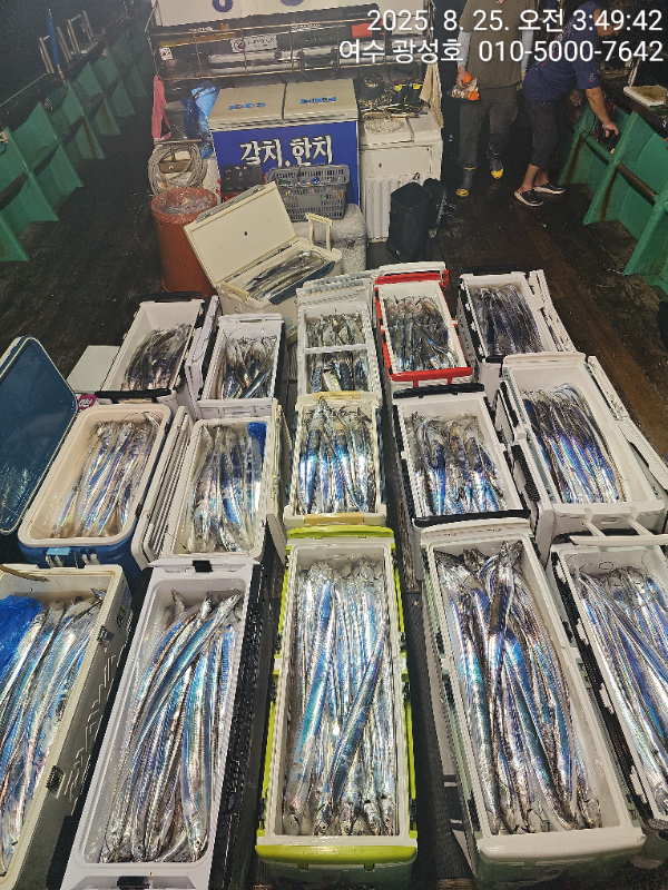 KakaoTalk_20250826_093026056_15.jpg