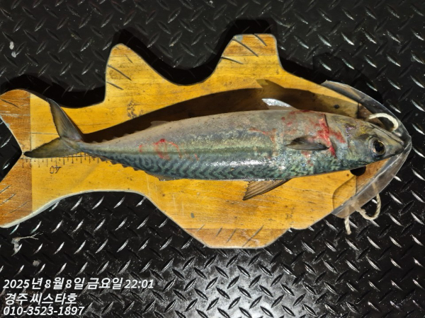 TimePhoto_20250808_220139.jpg