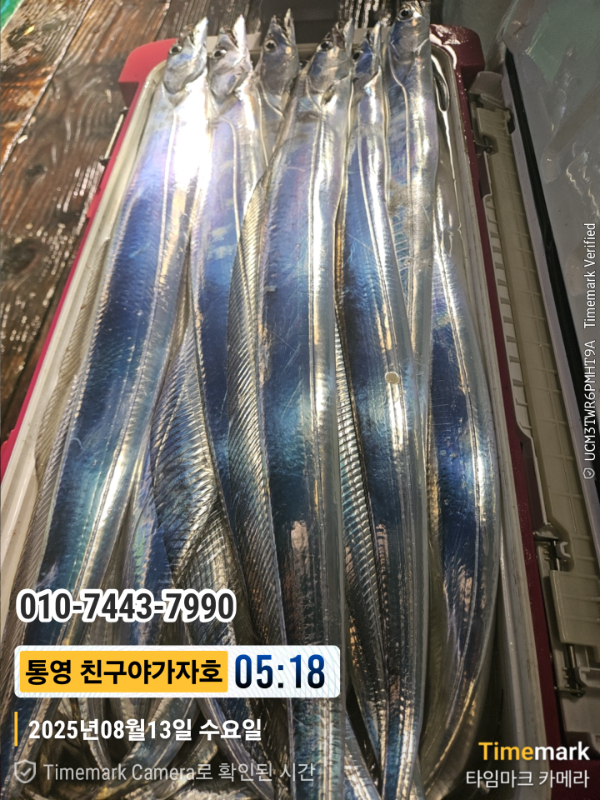 1000020843.jpg