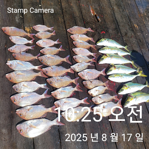 StampCamera20250817102523.jpg