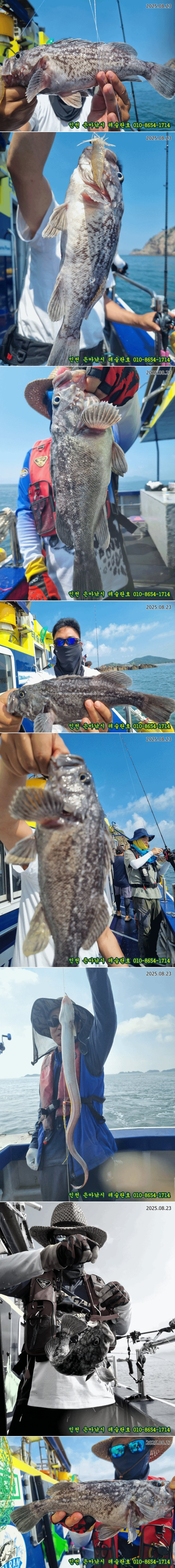 KakaoTalk_20250823_152517229_26-vert.jpg