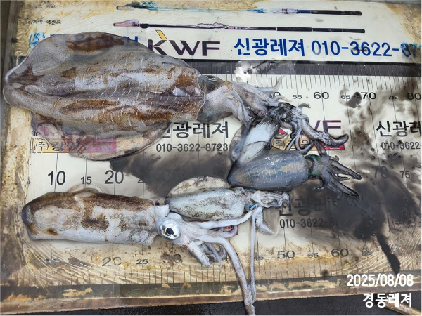 슬라이드0002.jpg