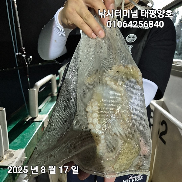 KakaoTalk_20250817_023046900_17.jpg