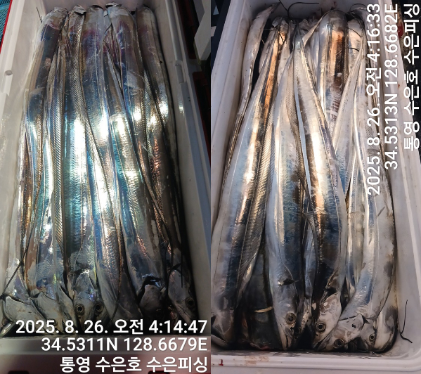 1756156863500-tile.jpg