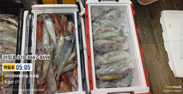 2025-08-02 05.05.04__(제목-라임호)_(라임호 010-8667-8696).jpg