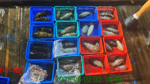 521a151284e795b3b067aff79d47719a.jpg