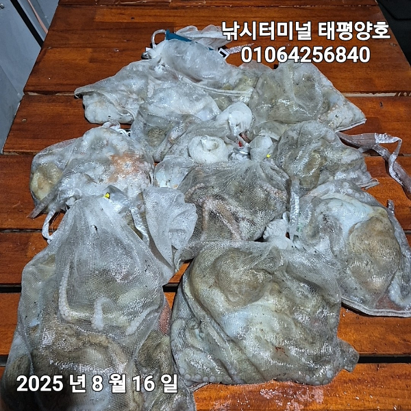 KakaoTalk_20250816_022629382_14.jpg