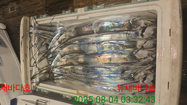 530c209a2dda9ad3d6b96beb70937ab5.jpg