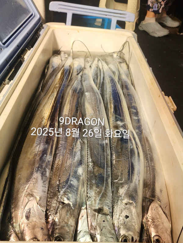 E04963CB-5AA3-46EE-9258-C804E35B0B64.jpeg