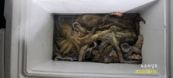DateCamera0814051324.jpg