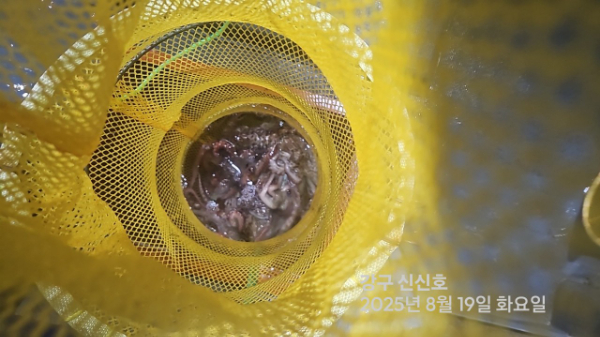 신신낚시 강구점 신신호_사진_20250819_4.jpg