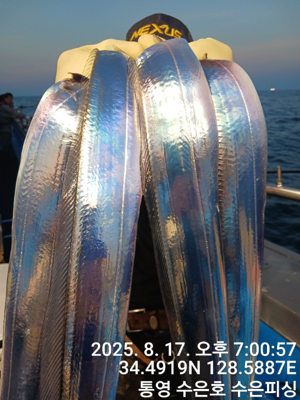 1755434269280.jpg