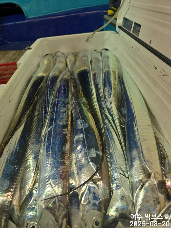 D33B2EAD-2F39-4524-B3A7-8FE32A56ACEA.jpeg