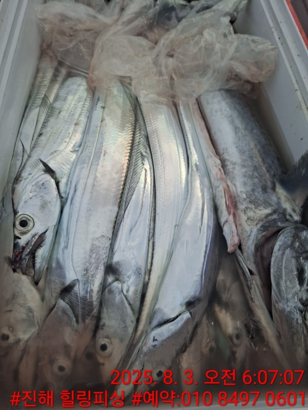 KakaoTalk_20250803_092159668_14.jpg