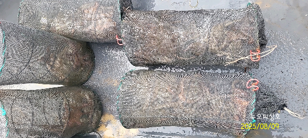 DateCamera0809074121.jpg