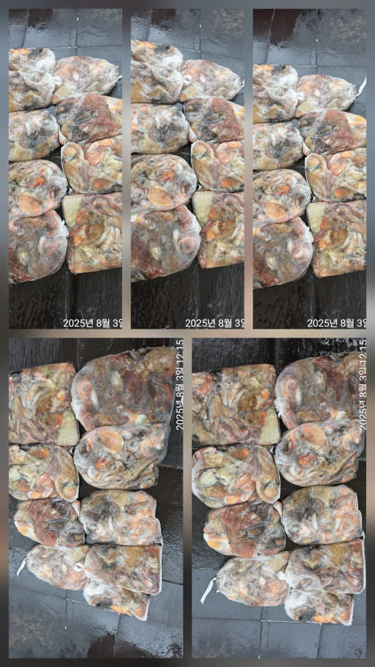 1000092263.jpg