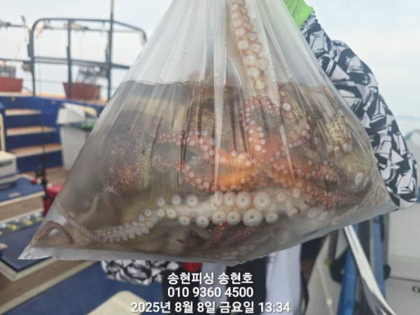 5586cc4d324acf66b56e0c0ba31a173d.jpg