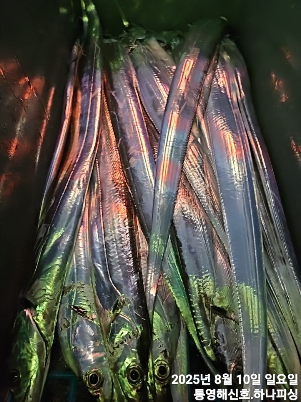 1754771084672.jpg