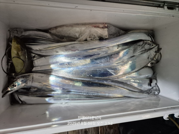 바다꾼낚시(신아라호)_사진_20250808_13.jpg