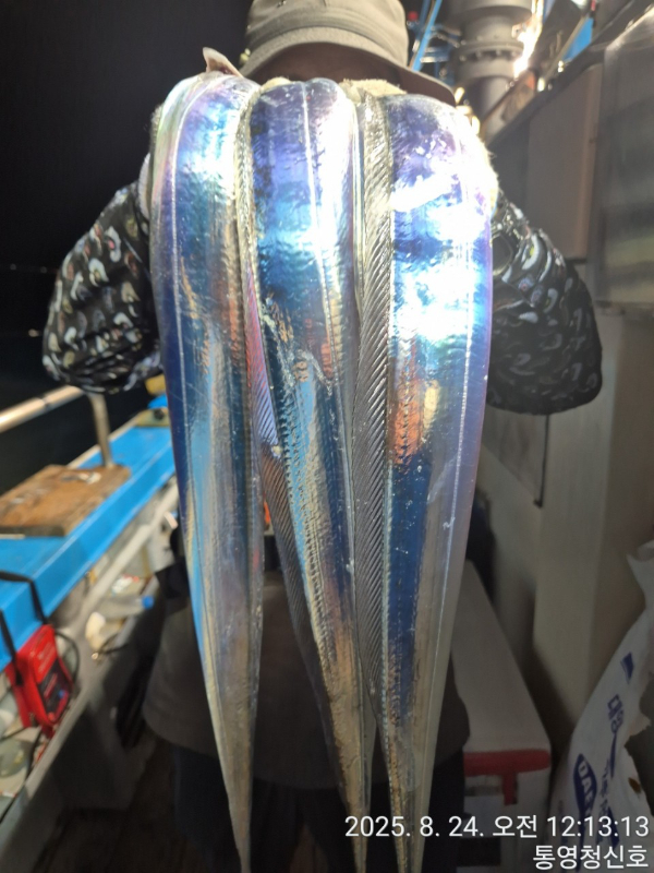 바다의 전설 부평25_사진_20250824_1.jpg