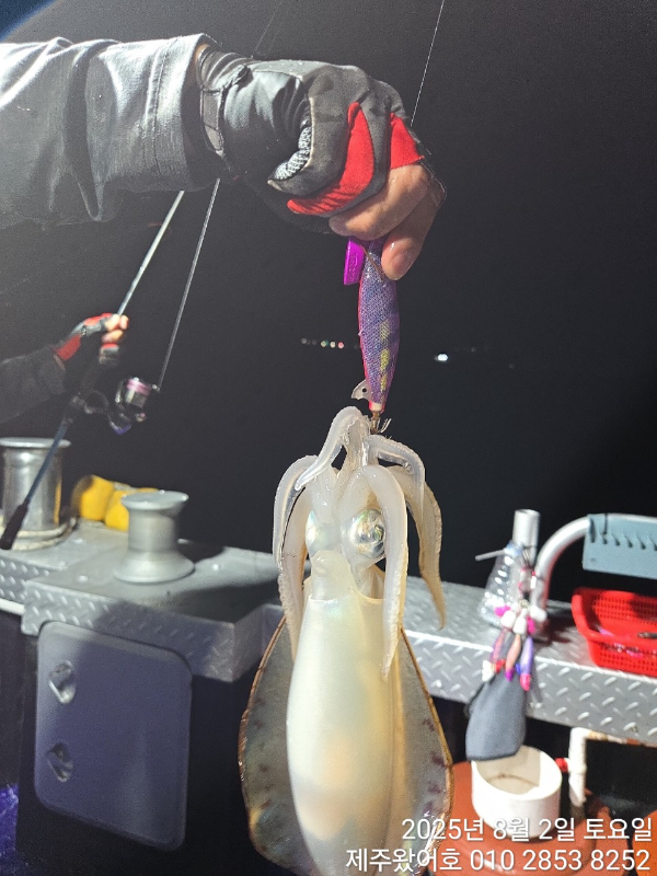 제주왔어호_사진_20250804_15.jpg