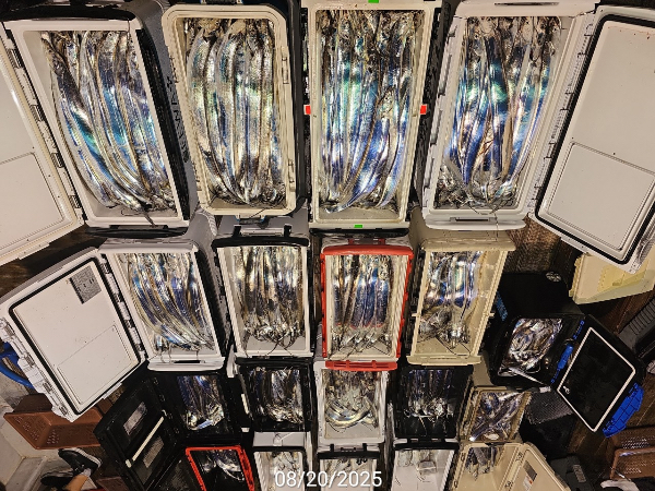6550F2AC-94B8-4006-881A-2B2170788556.jpeg