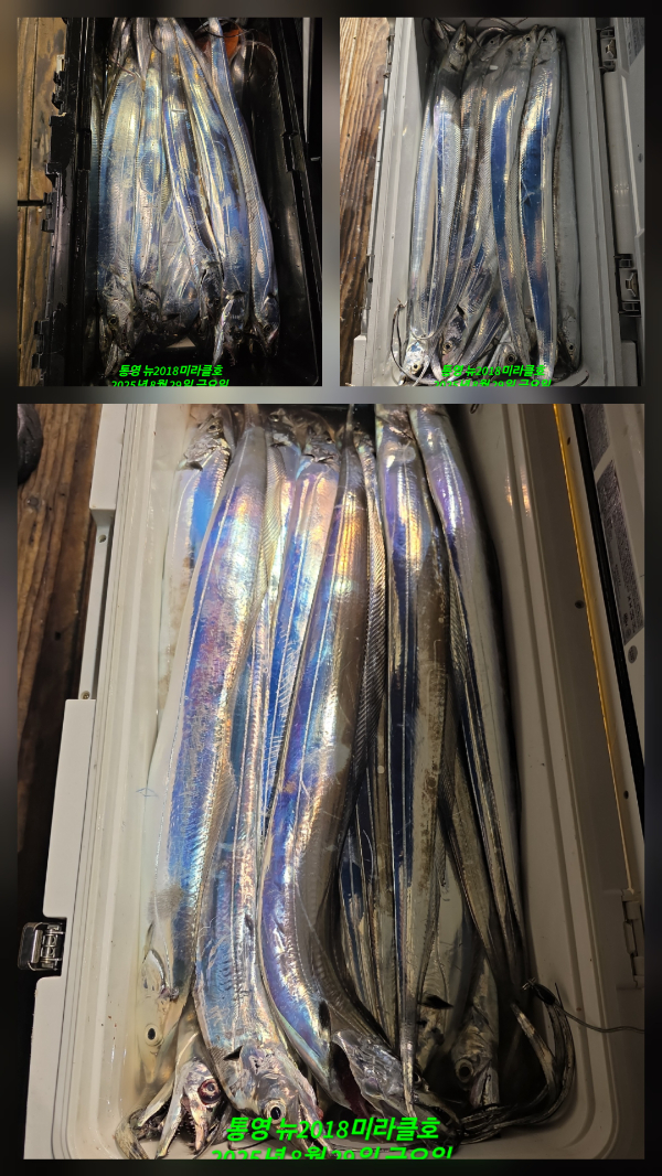 1000050168.jpg