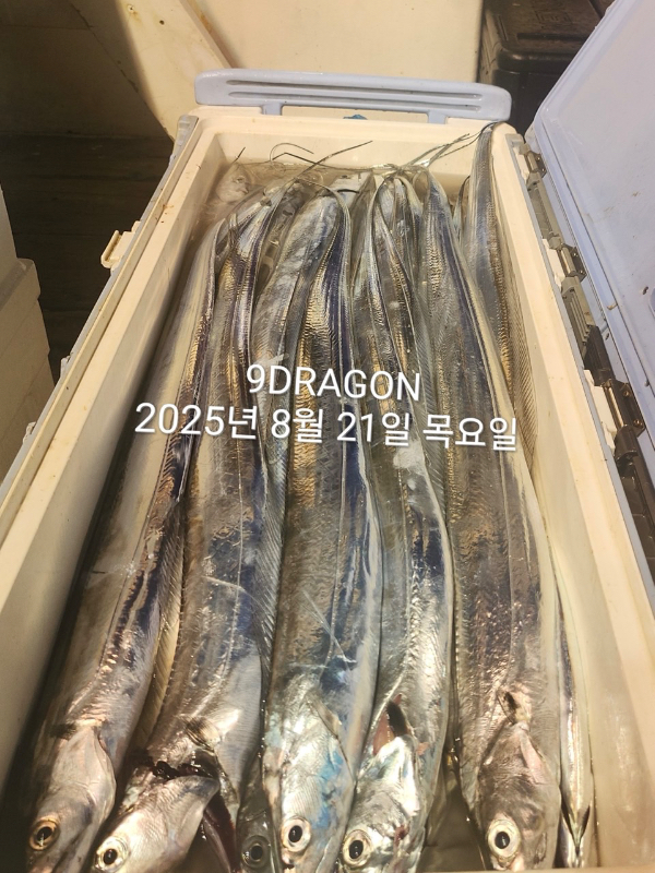 B38266AD-524E-40D9-BFC0-395123BAA8DB.jpeg