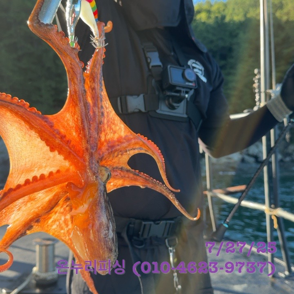 5825f5025a0069629564338b0ec9027b.jpeg