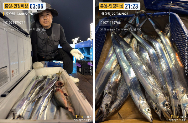 이미지.jpeg