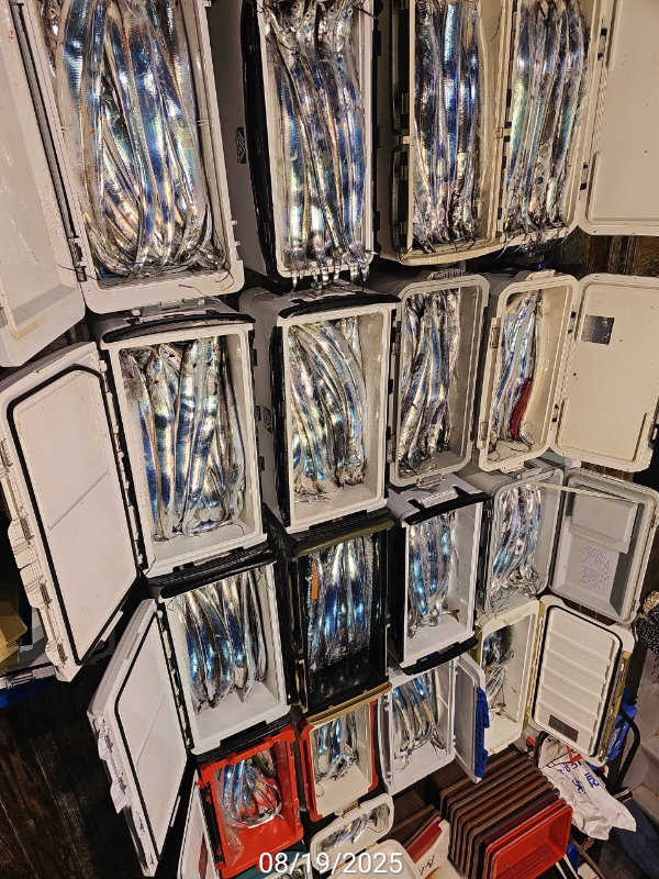 09219739-BEDA-49D9-84CF-30D56F57B51B.jpeg