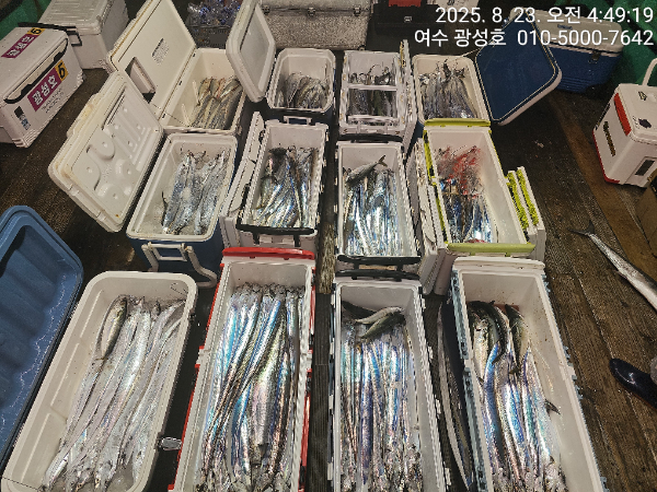 KakaoTalk_20250823_172651676_13.jpg