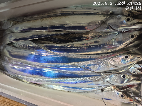 KakaoTalk_20250831_054250924_10.jpg
