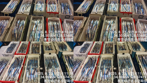 1755892093216-tile.jpg
