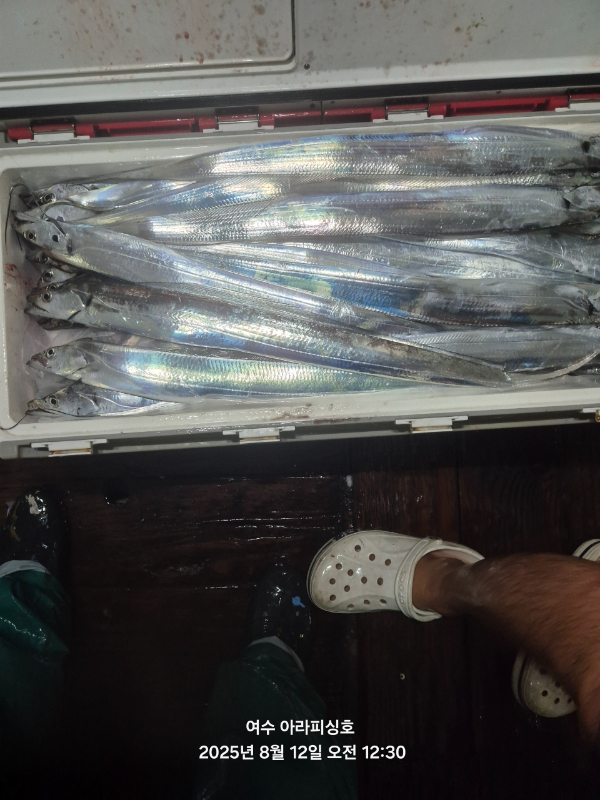 Resized_20250812_003013.jpeg