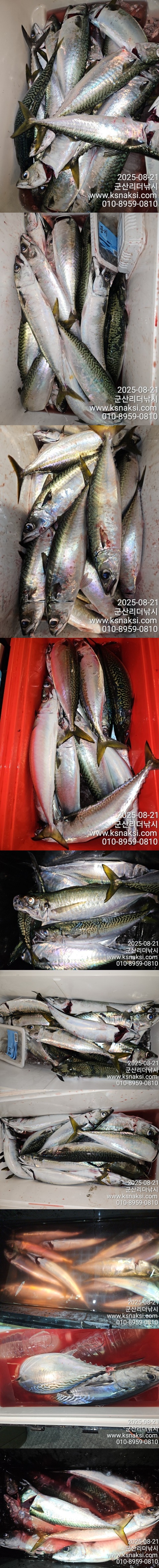 0821리더전체.jpg