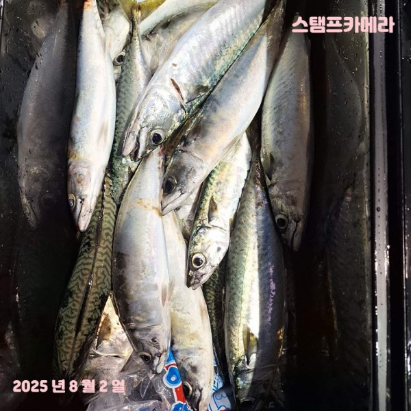 KakaoTalk_20250802_135732285_05.jpg