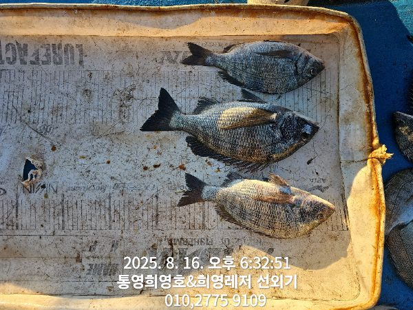 1755337330365.jpg